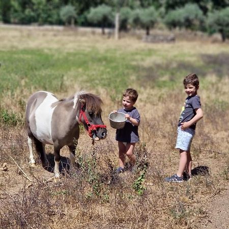 קאסטלו בראנקו Arca Dos Animais - Farming & Spa מראה חיצוני תמונה