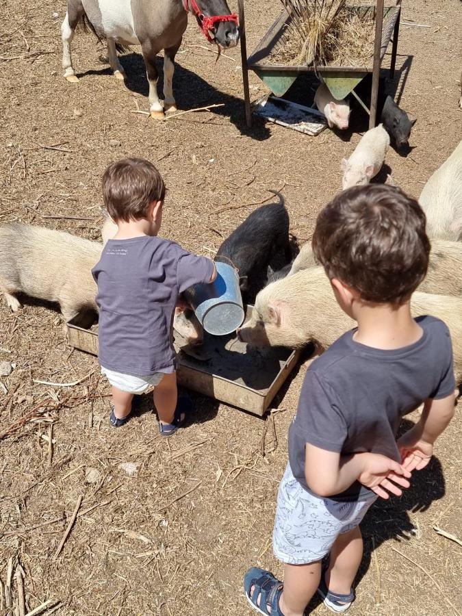 קאסטלו בראנקו Arca Dos Animais - Farming & Spa מראה חיצוני תמונה